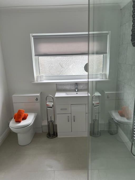 Town Centre Studio Flat Merthyr Tydfil Kültér fotó